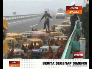 Polis China 'berkas ayam' di lebuhraya