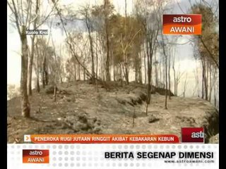 Peneroka rugi jutaan ringgit akibat kebakaran kebun