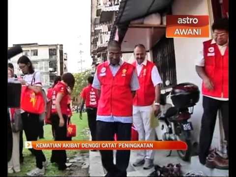 Kematian akibat denggi catat peningkatan