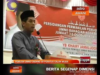 Pemuda UMNO cadang 30% calon muda