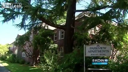 Undocumented Immigrant Sentenced to 35 Years in Prison- Build It Please