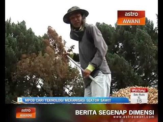 MPOB cari teknologi mekanisasi sektor sawit
