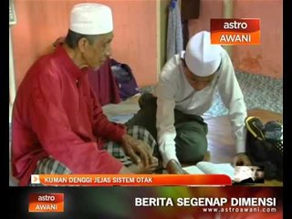 Kuman denggi jejas sistem otak