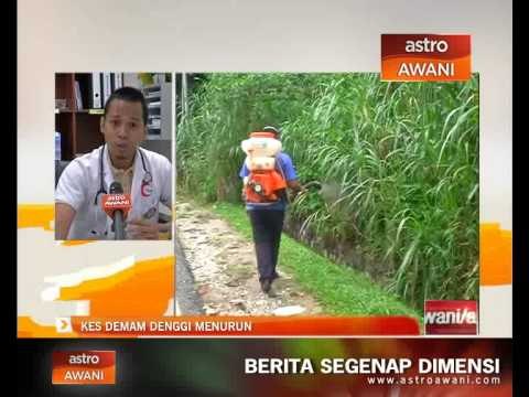 Kes demam denggi menurun