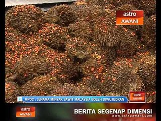 Masa yang sesuai wujudkan jenama minyak sawit Malaysia