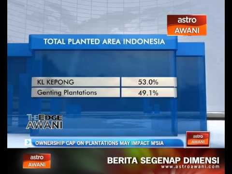 Ownership cap on plantations may impact Malaysia