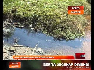 Batu Ferringhi dilanda pencemaran