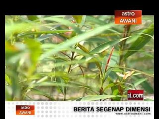 Kukuh strategik dua hala India-Malaysia