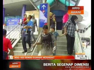 Descargar video: WHO: Kes denggi dijangka meningkat