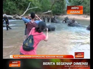 Kos pemindahan gajah ditanggung kerajaan negeri