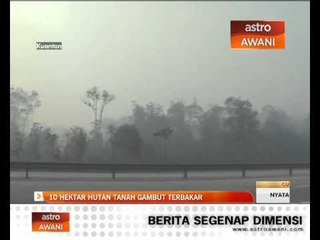 10 hektar tanah gambut terbakar