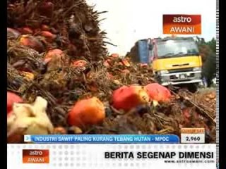 Industri sawit paling kurang tebang hutan - MPOC