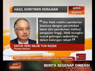 Usaha kerajaan lahirkan golongan kelas profesional