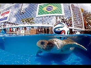 'Big Head' pilih Brazil menang menentang Croatia