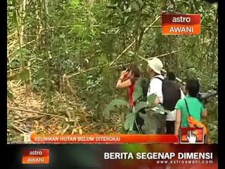 Keunikan hutan 'Belum' diterokai
