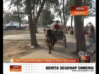 Kereta kuda kitar semula tarikan di Pantai Batu Burok