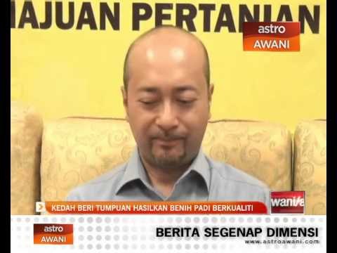 Kedah beri tumpuan hasilkan benih padi berkualiti