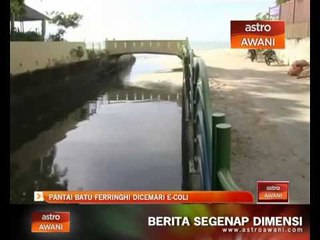 Pantai Batu Ferringhi dicemari E-Coli