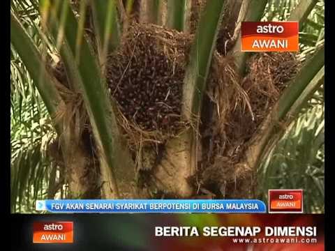 FGV akan senarai syarikat berpotensi di Bursa Malaysia