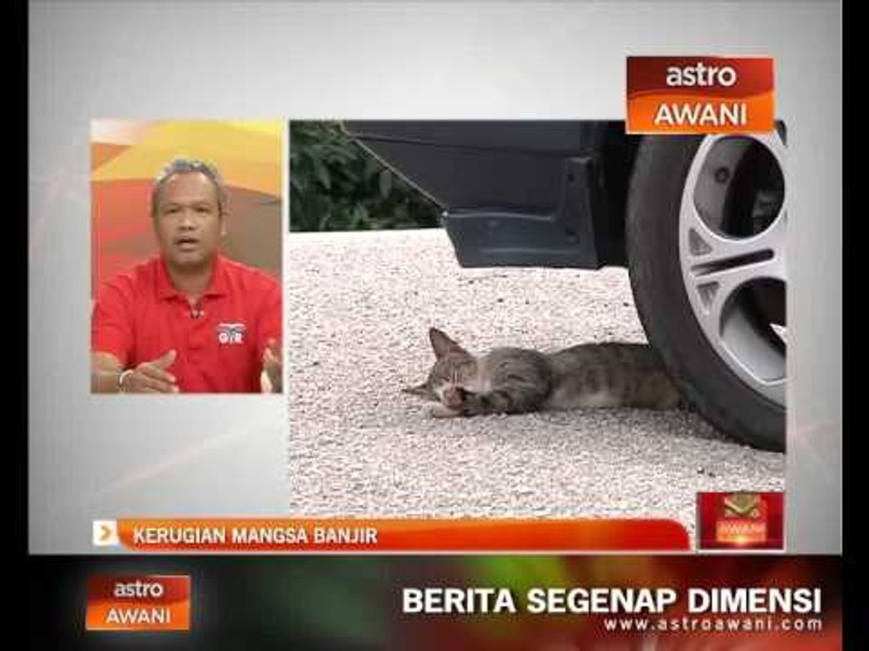 Kerugian mangsa banjir