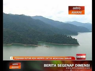Peranan hutan ada hadnya untuk mencegah banjir