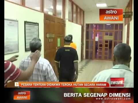 Pesara tentera didakwa teroka hutan secara haram