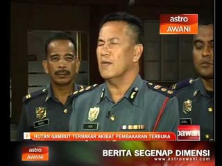 Hutan gambut terbakar akibat pembakaran terbuka