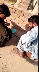 یہ لو جی چینوٹ کے مرغ (كکڑ)