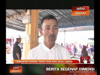 Tangkapan kurang, harga ikan naik sekali ganda