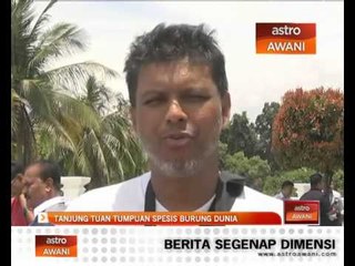 Tanjung Tuan tumpuan spesis burung dunia