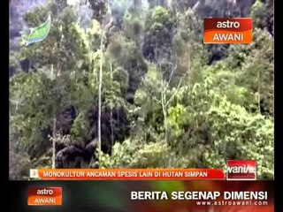 Monokultur ancaman spesis lain di hutan simpan
