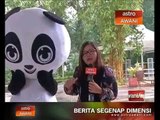 Panda penyeri Zoo Negara