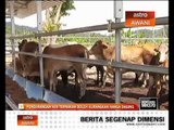 Pengurangan kos ternakan boleh kurangkan harga daging