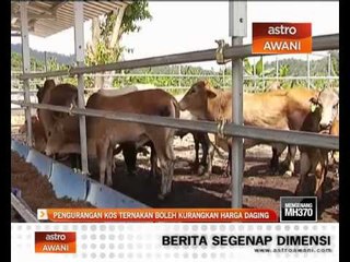 Tải video: Pengurangan kos ternakan boleh kurangkan harga daging