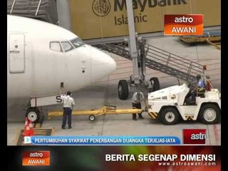 Pertumbuhan syarikat penerbangan dijangka terjejas - IATA
