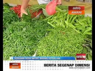 Kerajaan sedia import barang keperluan