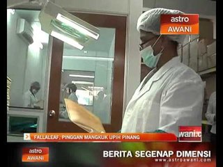 Fallaleaf, pinggan mangkuk upih pinang