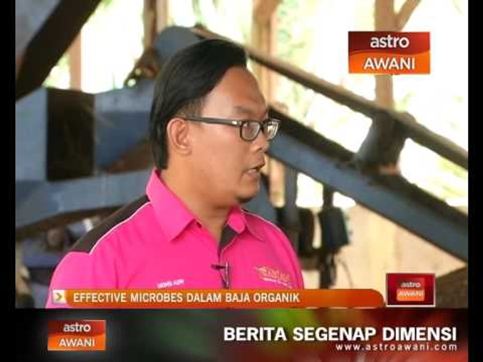 Effective Microbes dalam baja organik