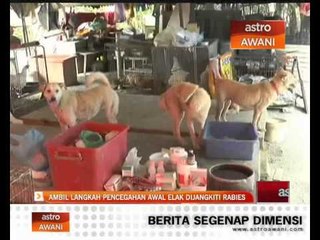 Ambil langkah pencegahan awal elak rabies