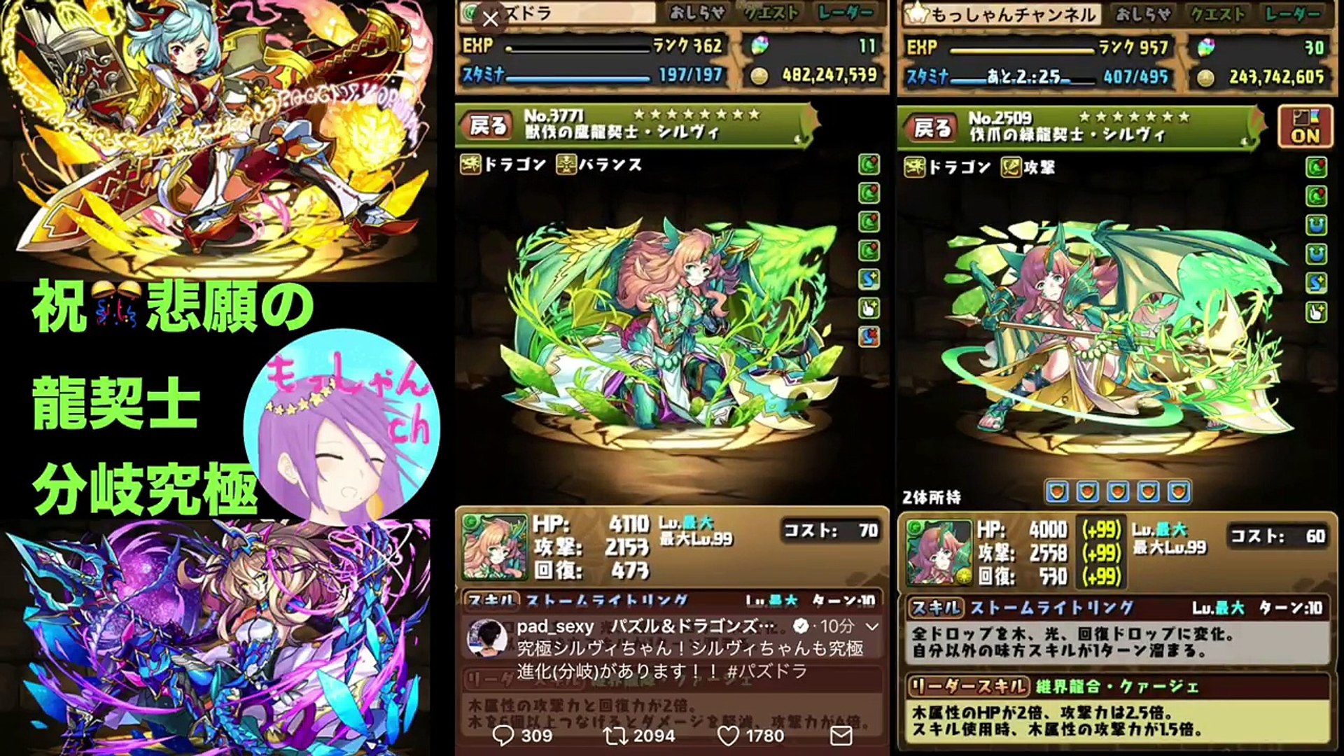 パズドラ 究極 分岐 サリア リューネ シルヴィ 解説 雑談 龍契士 究極祝 Video Dailymotion