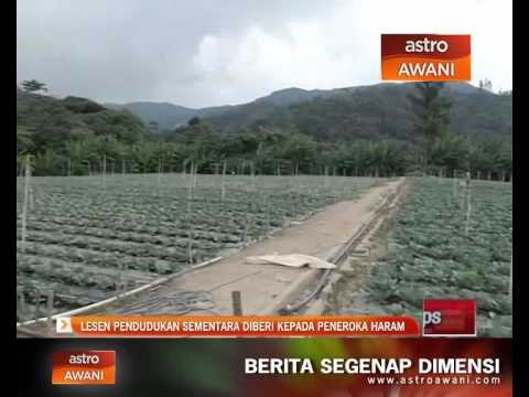 Lesen pendudukan sementara diberi kepada peneroka haram