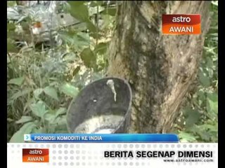 Promosi komoditi ke India