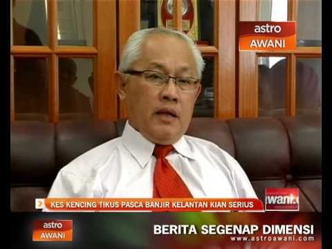 Kes kencing tikus pasca banjir di Kelantan kian serius