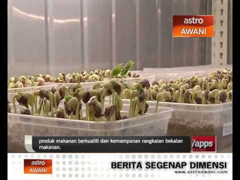 Keselamatan makanan: Tanggungjawab bersama