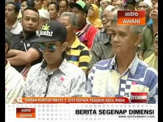 Durian runtuh RM151.1 juta kepada pekebun kecil Risda