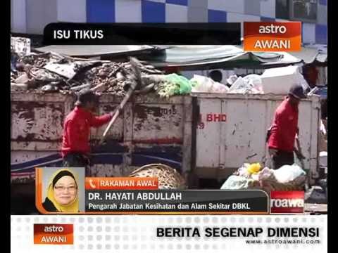 DBKL tingkat usaha basmi tikus