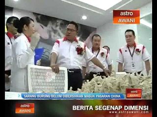 Sarang burung belum dibersihkan masuk pasaran China