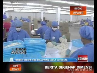 Rubber stocks rise following Ebola outbreak