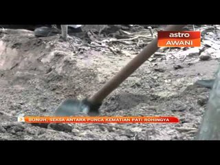 Bunuh, seksa antara punca kematian PATI Rohingya