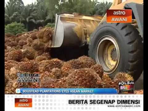 Boustead Plantations eyes Asean market